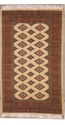 2’11”X5’1” Rug Pak Jalldar