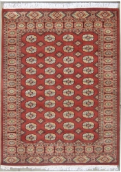 4’8”X6’0” Rug Pak Mori Bokhara