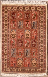 3’2”X4’10” Rug Pak Bakhtiari