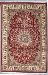 4’0”X6’1” Rug  Pak Persian Design