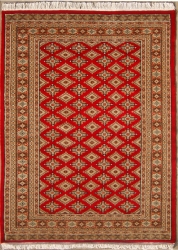 4’2”X5’11” Rug Pak Jalldar