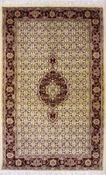 3’0”X5’3” Rug Pak Persian Design Ivory, White Color